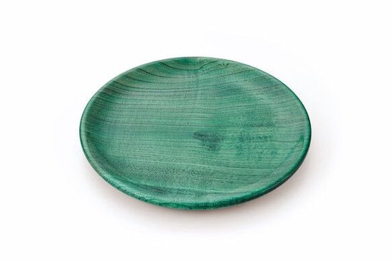 Stopper 6.5 Pan Dish Colorful Green SS-175