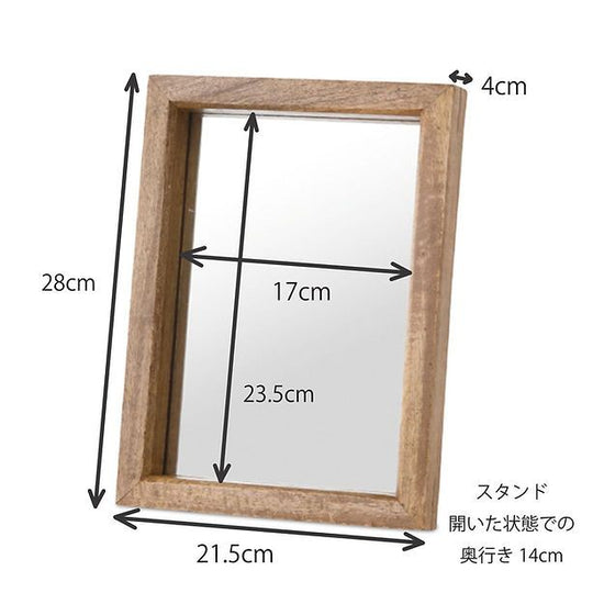 41049 Mirror S