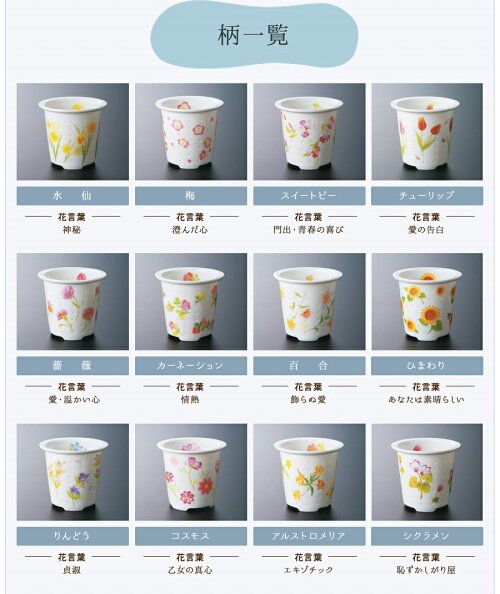 [FC-550G(500cc)](Birth Flower Series) Heat-resistant pot