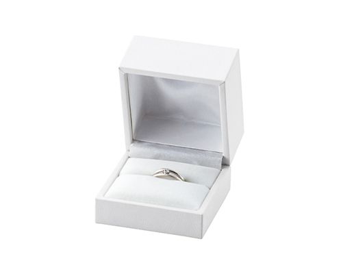 Ring Case L Size Square 1 Series, Pack of 12 AR-R326