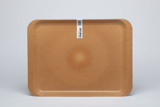 PAPLUS Food Tray