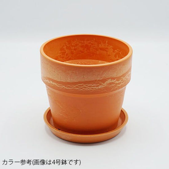 81102 [PLUS THE GREEN] Urban plant pot, carrot