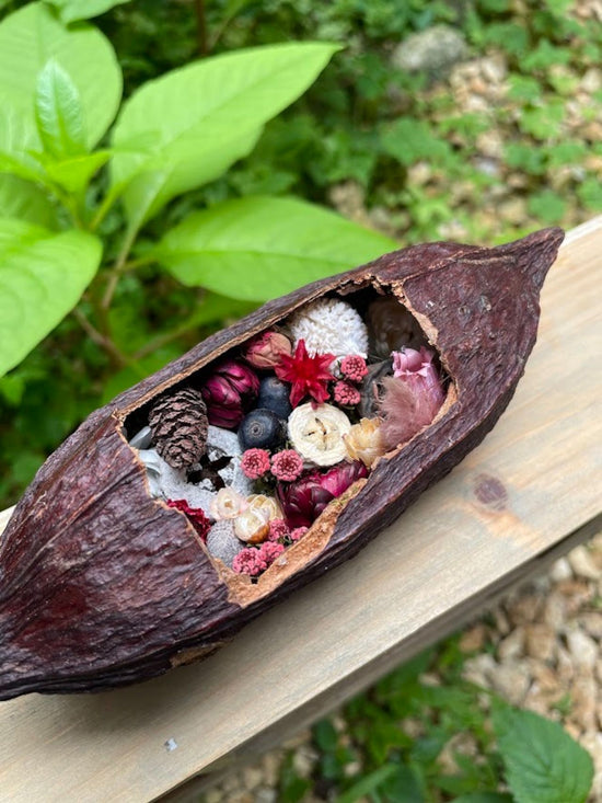 Cacao ship Dongburi in a cacao boat