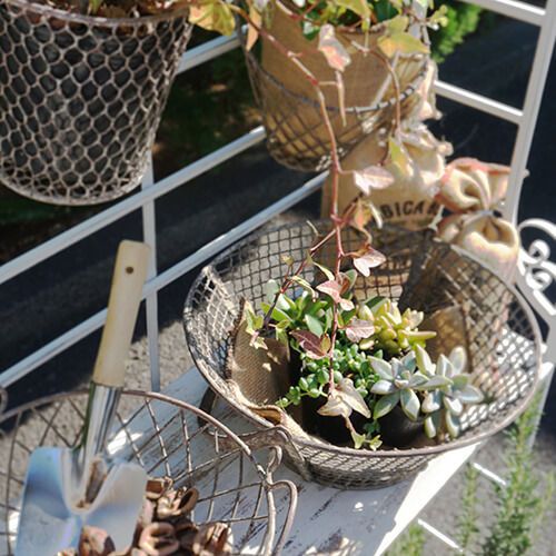 62633 [PLUS THE GREEN] Garden Basket L