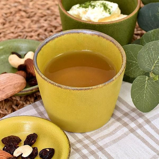 Veggie Color Mustard Soba Inokuchi Japanese Tableware Soba Accessories Made in Japan Minoyaki Sake Stylish Modern