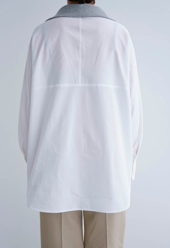 The Noetic. Half Zip Oxford Shirt