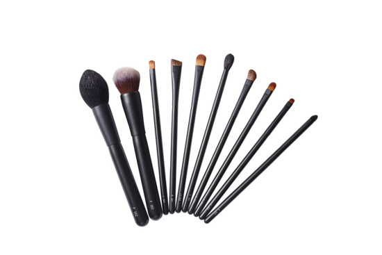 Kumano Brush Makeup Brushes/ Advance Set of 10 brushes