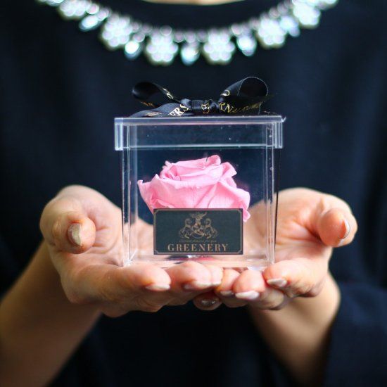 Crystal rose Box Classic petal <pink>.