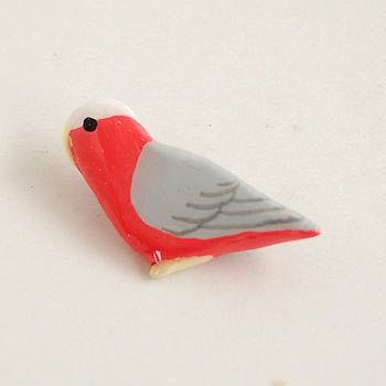 Resin Brooch of a Peach Bellied Parrot Facing Left