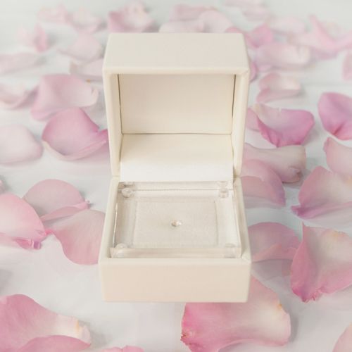 Loose Case for Proposal Bridal Loose Case with Acrylic Lid, 1 piece unit SK-GA-300