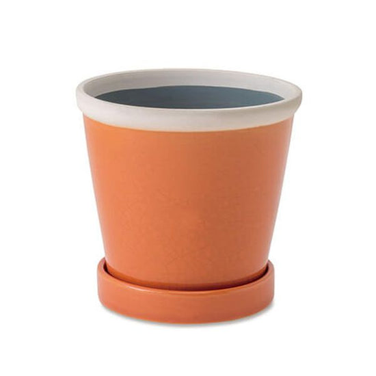 30760 [PLUS THE GREEN] Glossy Pot Apricot