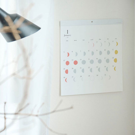 Moon Calendar Michiru 2025 International Package Moon Phases Wall Calendar