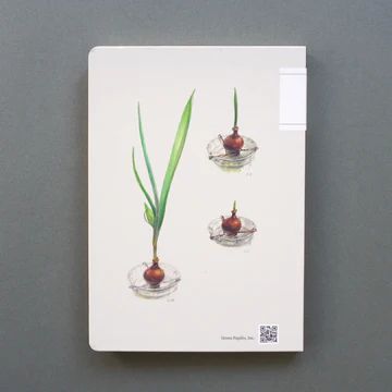 MUJINZO Notebook "Hyacinth"