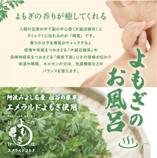 Pesticide-free & hand-picked emerald yomogi (mugwort)  bath