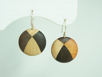 FOSSIL SERIES Round Earrings