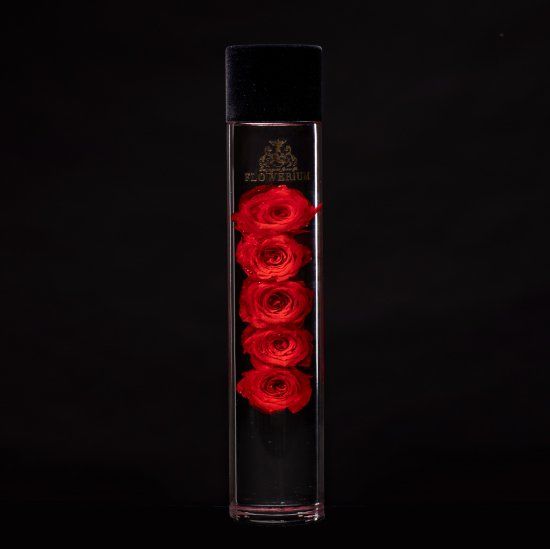 FLOWERiUM Eternal Rose <red>.