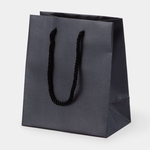 Paper Bag S Size, Pearl-like Paper, Matte PP Finish, Pack of 12 SK-RC-591