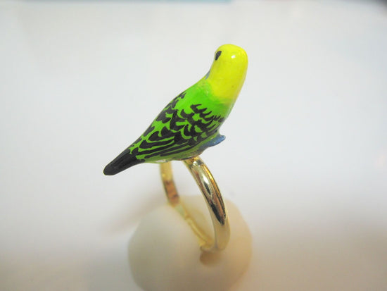 Budgie (Green) Ring