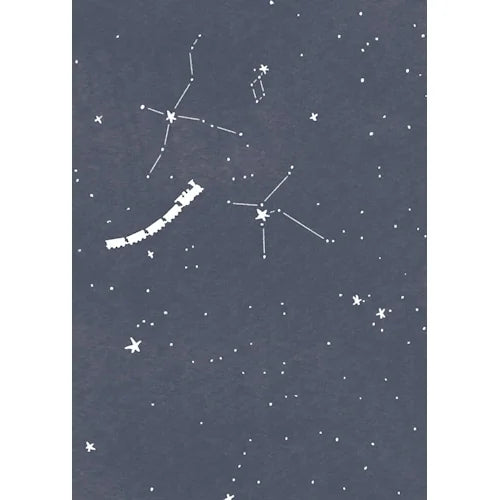 Furukawa Shiko Mino Washi Book Cover – Kenji Miyazawa
