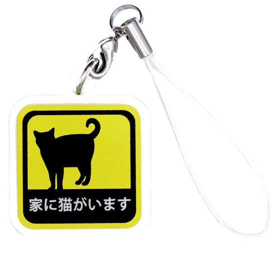 I have a cat at home acrylic strap