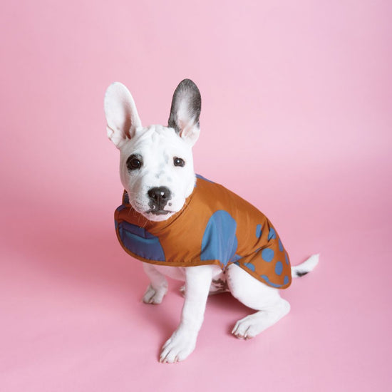 Doggie cotton vest "maru