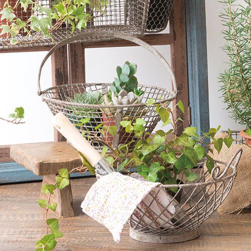 62632 [PLUS THE GREEN] Garden Basket S