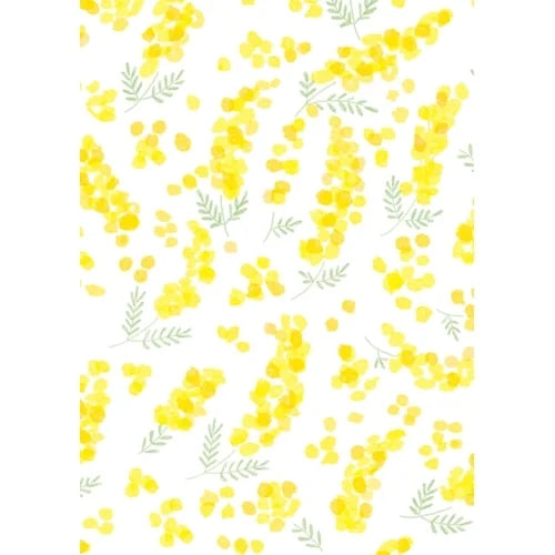 Furukawa Shiko Mino Washi Book Cover – Mimosa