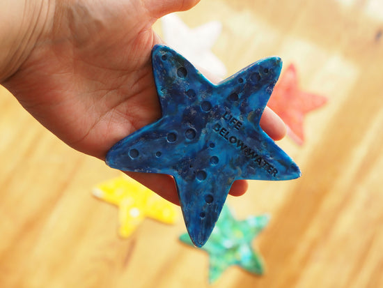 starfish coaster