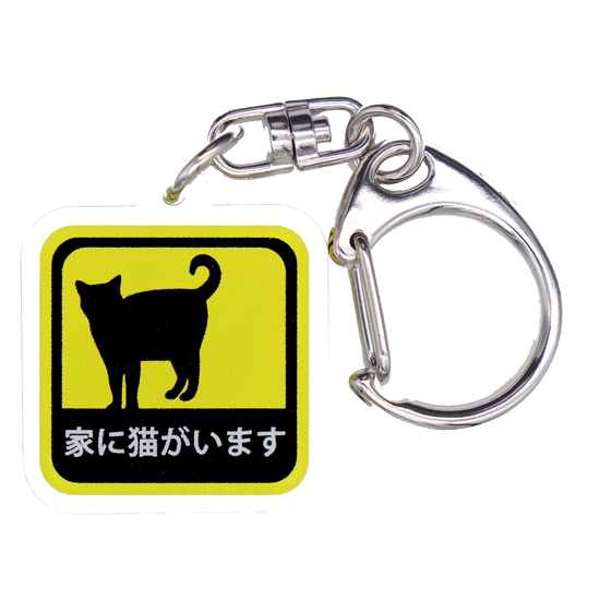 There is a cat in the house acrylic key ring