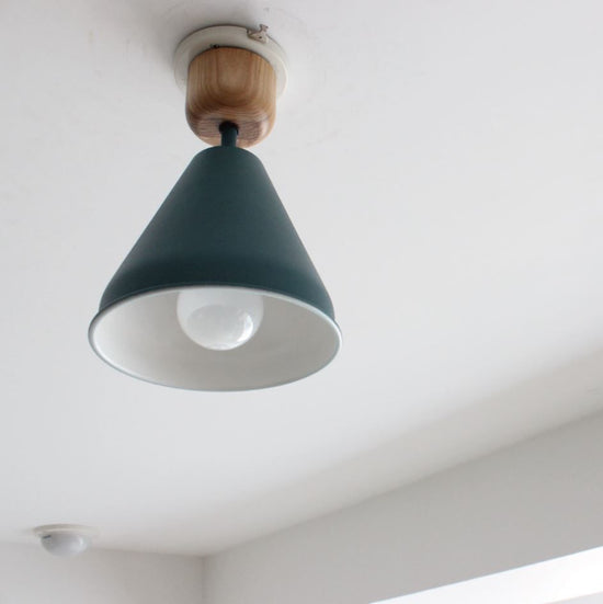 COLOR & WOOD 1BULB CEILING LIGHT