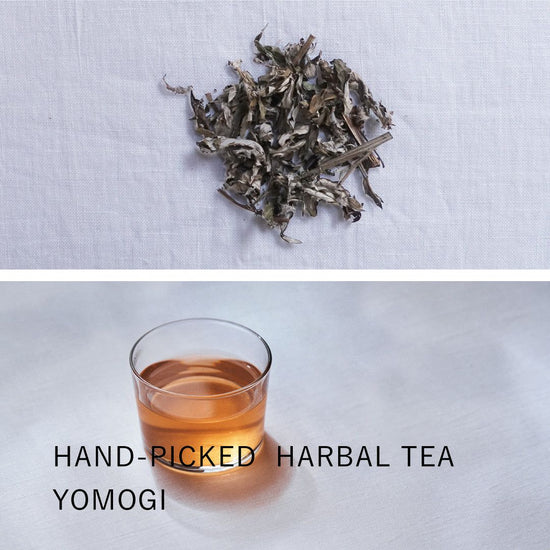 From the forest in Tokuchi, Yamaguchi / Curing Tea / Yomogi