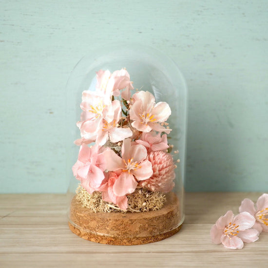 Cherry blossom viewing in a glass dome (cherry blossoms)