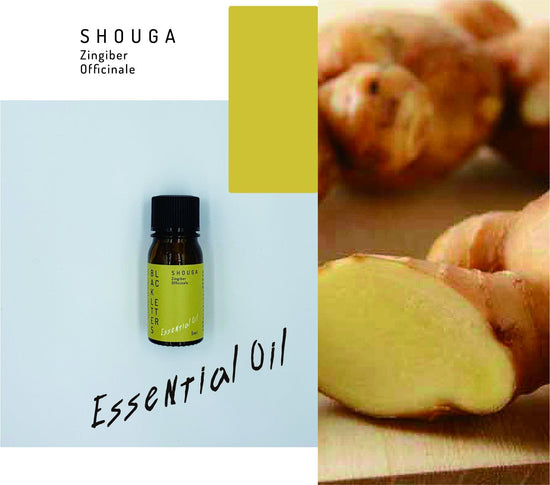 essential oil5ml-ginger