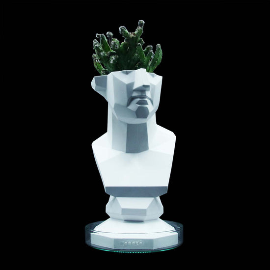 Chamfer Venus Cactus Pot
