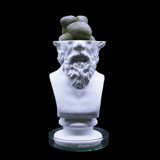 Socrates Cactus Pot