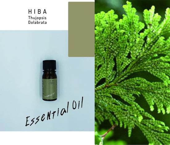 essential oil5ml-cypress leaves