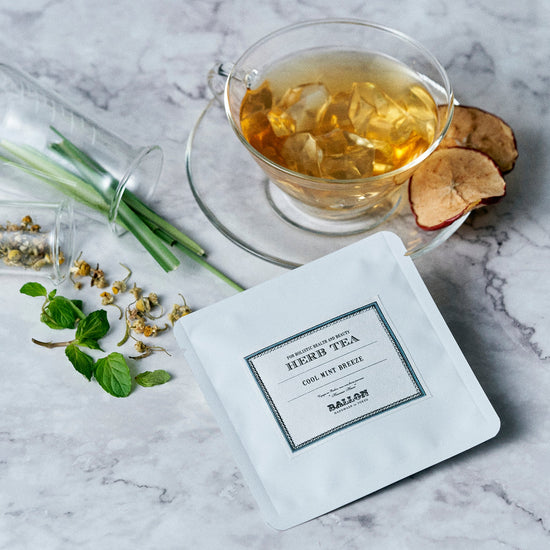 COOL MINT BREEZE Herbal Tea in 1 Packet