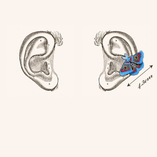 ARRO MOTH EARRING EAR-CLIP TURQUOISE
