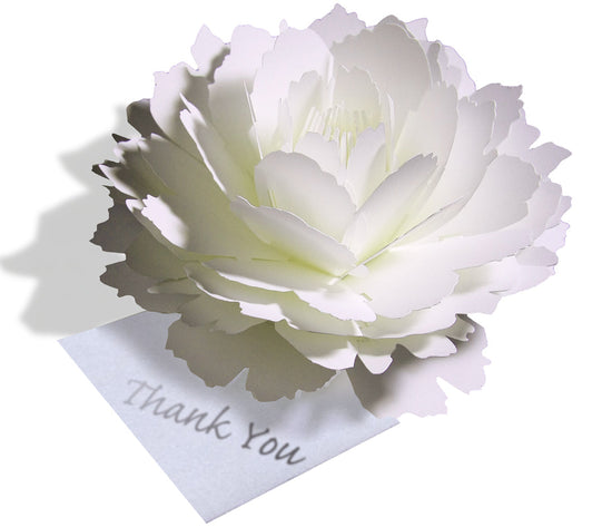 Thank you card  (Peony) for flowers